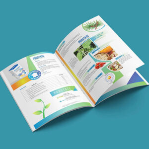 catalogue la gi gom nhung gi lam the nao de thie